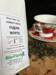 herbata-biala-fujian-white-50g-bio-flavo AE.jpg