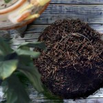 herbata-czarna-Earl-Grey-luz-flavo-Kasia-A9.jpg