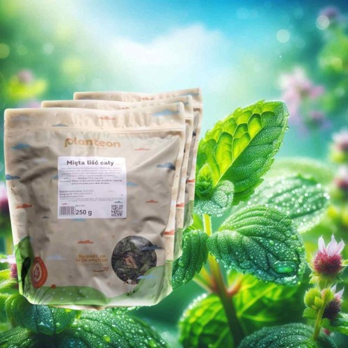 Dried mint 250g Planteon