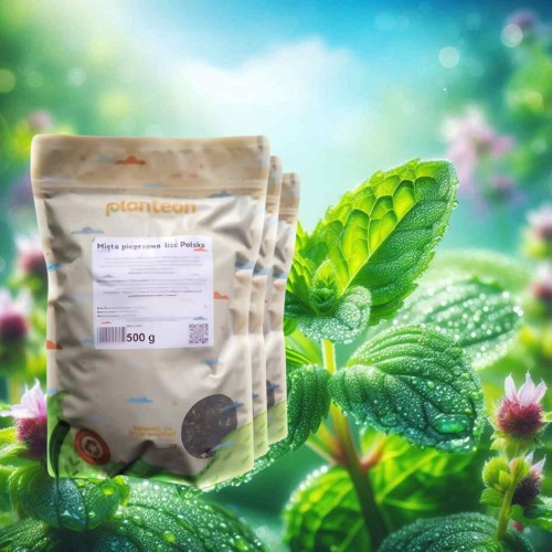 MIĘTA PIEPRZOWA  500G 