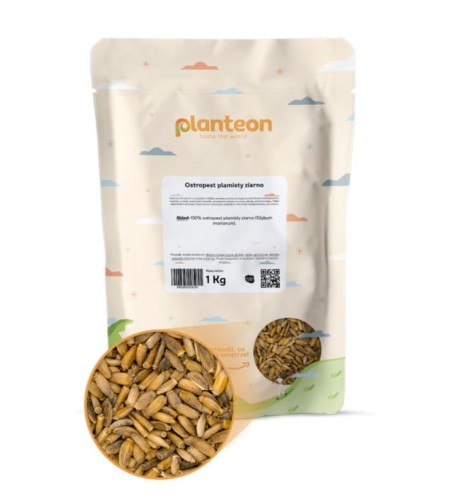 OSTROPEST PLAMISTY ZIARNA 1KG 