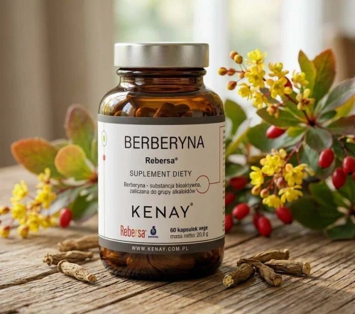 Berberyna REBERSA®  60 kapsułek Kenay