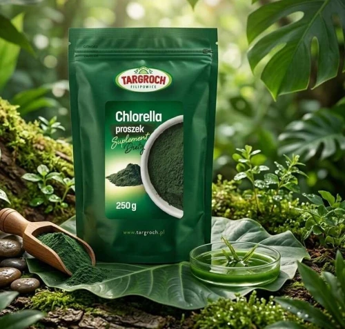 CHLORELLA W PROSZKU 250G TARGROCH
