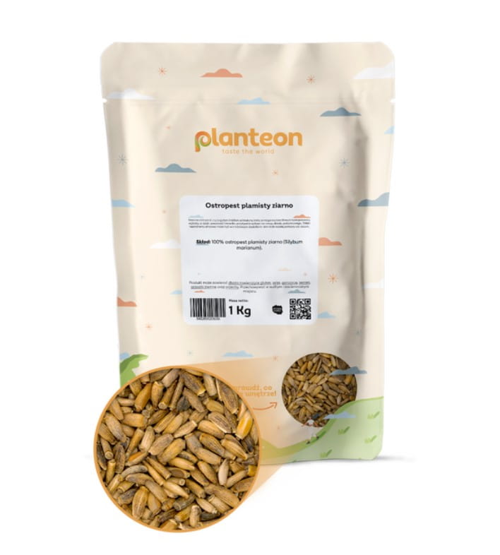 OSTROPEST PLAMISTY ZIARNA 1KG